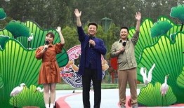 鹅厂高层爆料视频最新,揭秘腾讯未来战略布局与行业动向